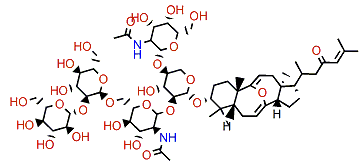 Sarasinoside A4